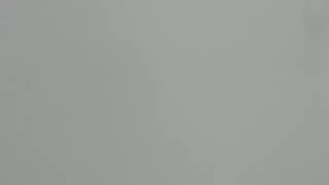 Ashley_Ebony__ model from sc