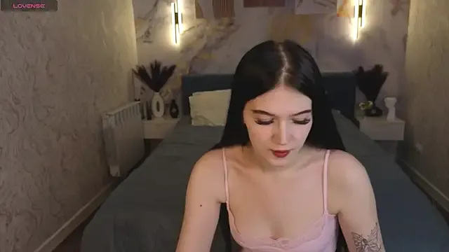 linajourney model from sc