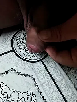 MinhLinh12355 model from sc