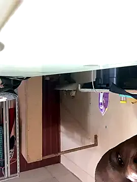 Ndodemnyama@xh on StripChat 