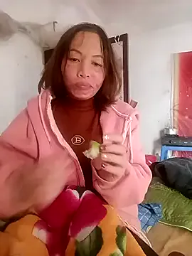 Stella-456 model from sc