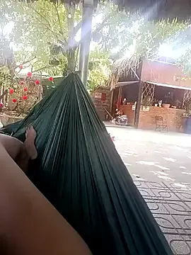 suninguyen model from sc