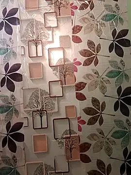 Tamil-Butterfly model from sc