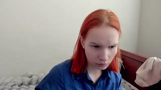 Vedime model from sc