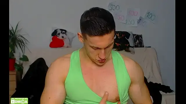 ZeinMiracles model from sc